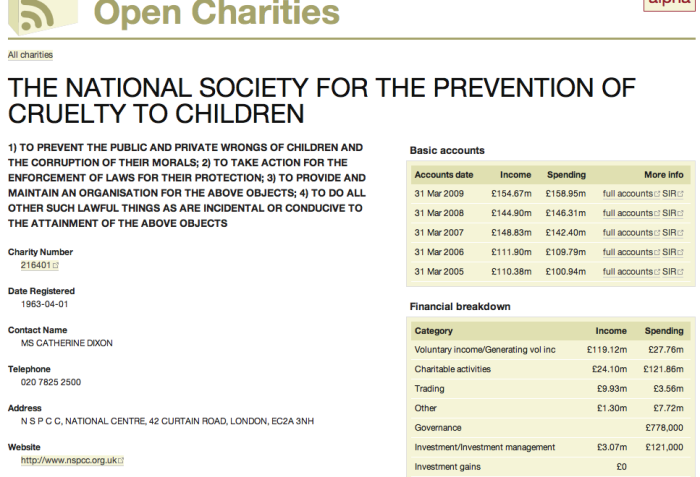 Example of financial info for charity